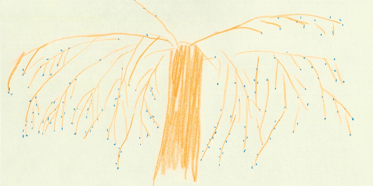 大崎清夏・特別寄稿 「ハンセン病文学の新生面 『いのちの芽』の