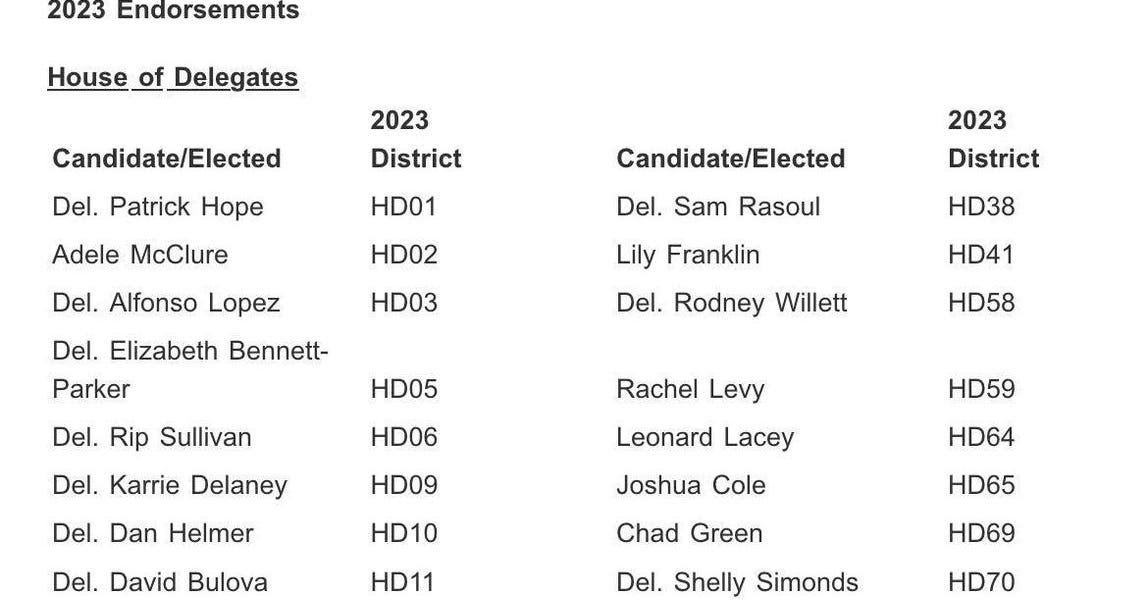Clean Virginia announces their list of endorsements