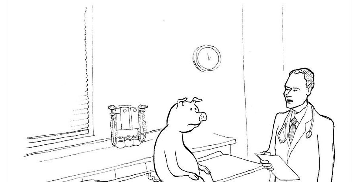 Why don't we eat people? - Search Engine with PJ Vogt