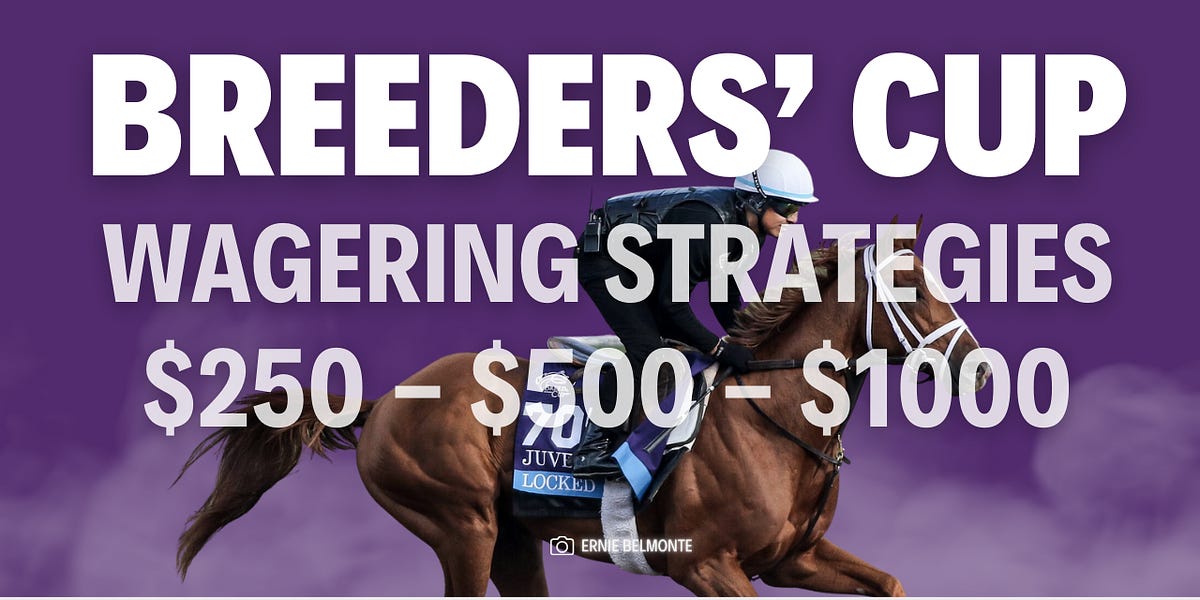 2023 Breeders' Cup Wagering Strategies by Tyler
