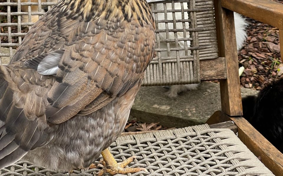 For Founding Members Civil Discourse with Joyce Vance