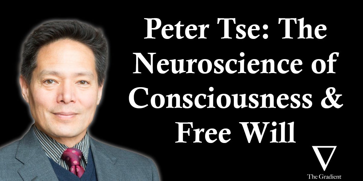Peter Tse: The Neuroscience of Consciousness and Free Will