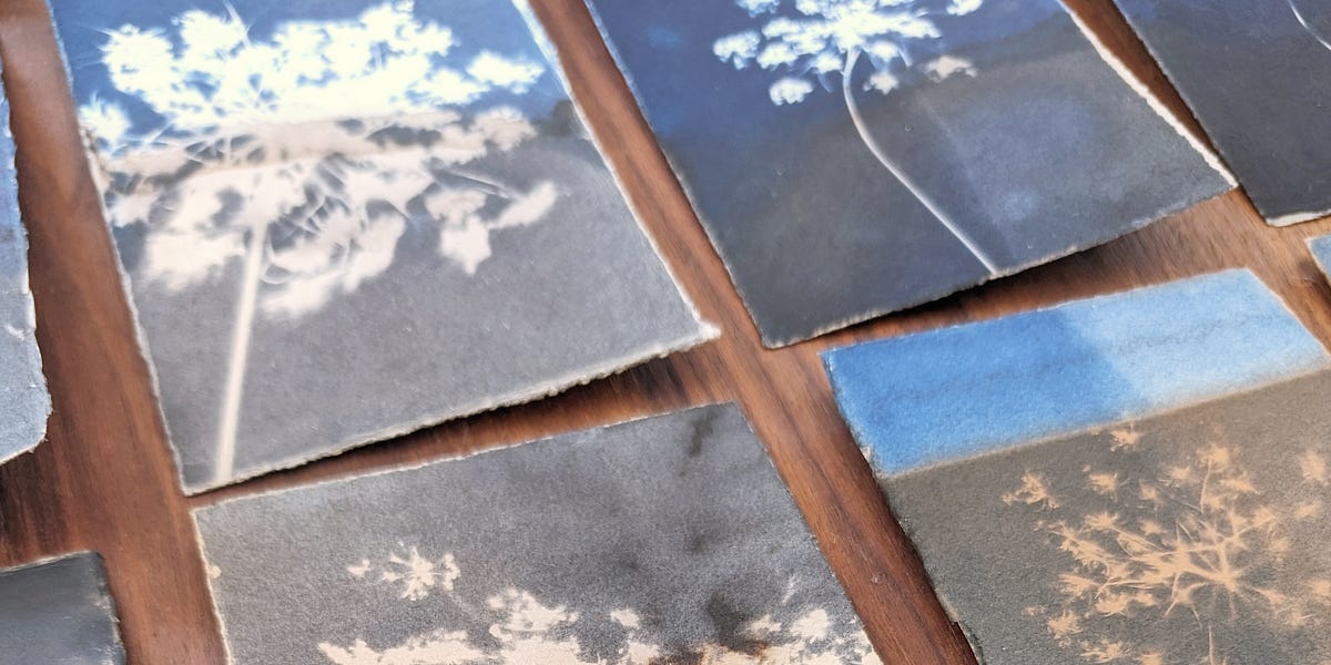 002 - Things I’ve learned with cyanotypes - by Stephanie