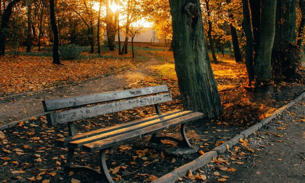 Longing to belong. - by Alice Goldbloom