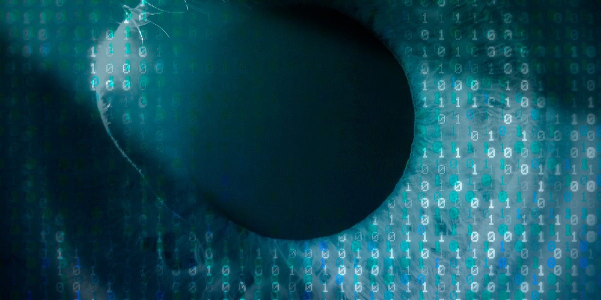 Anonibal Exposed: Is This The Answer To Online Censorship? - 0moi6c7