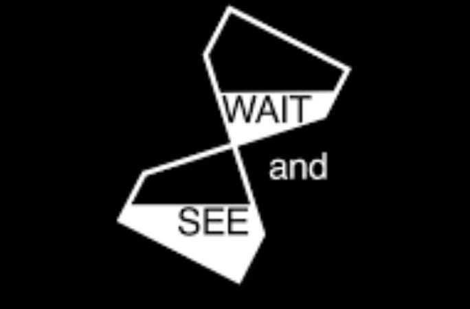 WAIT AND SEE - by Stephen Innes 🇨🇦 🇹🇭