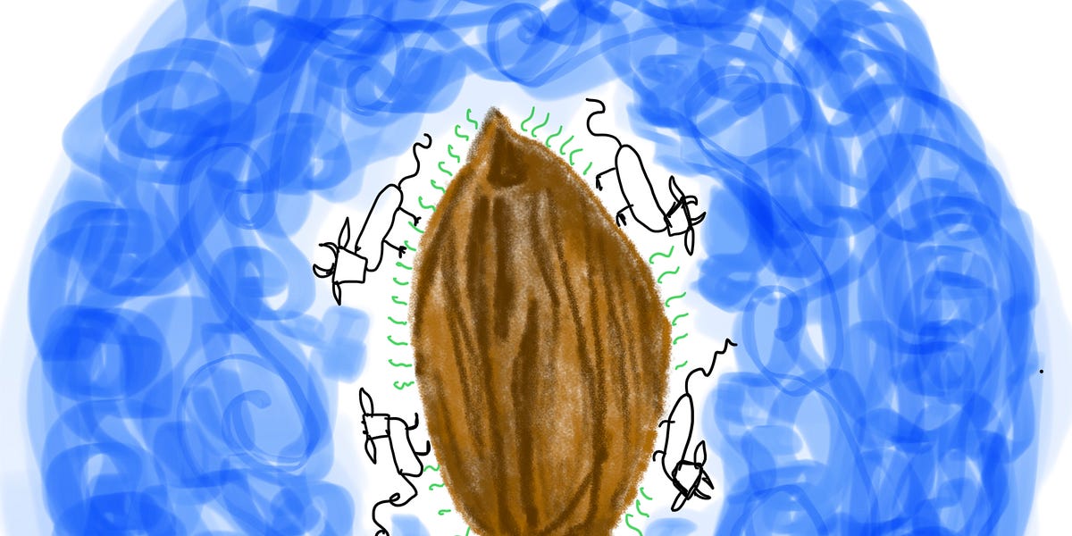 Almond Milk vs Cow Milk by king stut pyramids