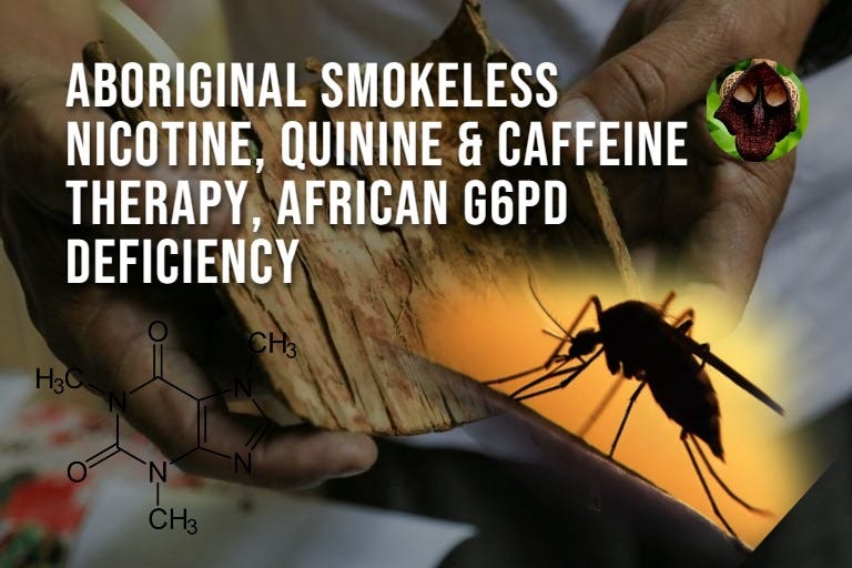 MASHUP Aboriginal Smokeless Nicotine, Quinine & Caffeine Therapy