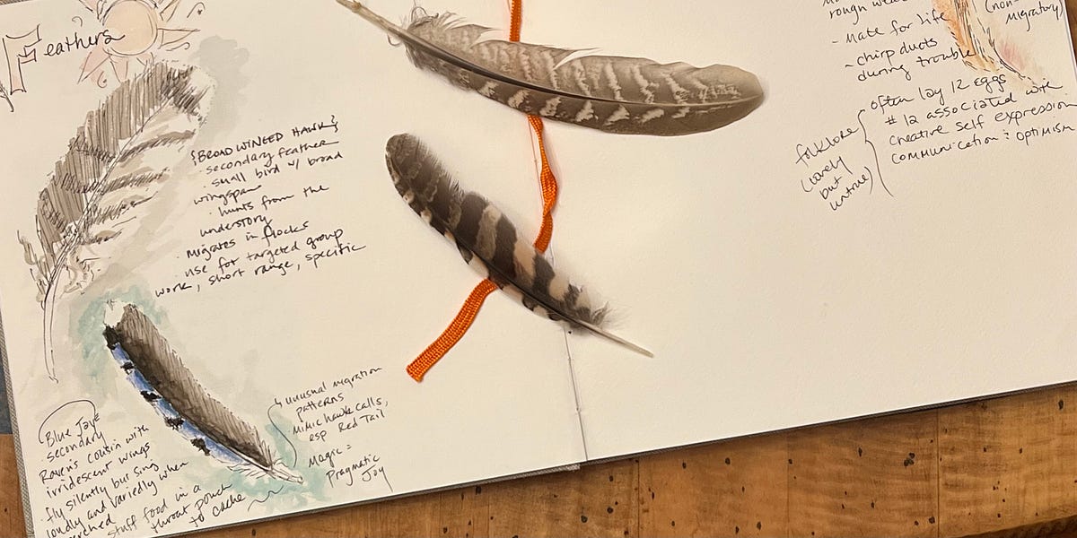 You Will Never Believe What This Journal Really Found