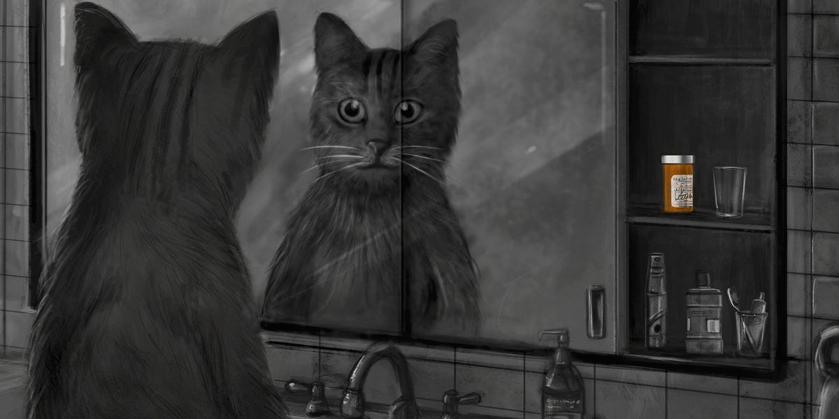 on cat prozac by Rylen Fall Whatever Flyers