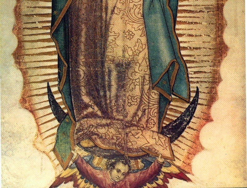 Las estrellas de la Virgen de Guadalupe