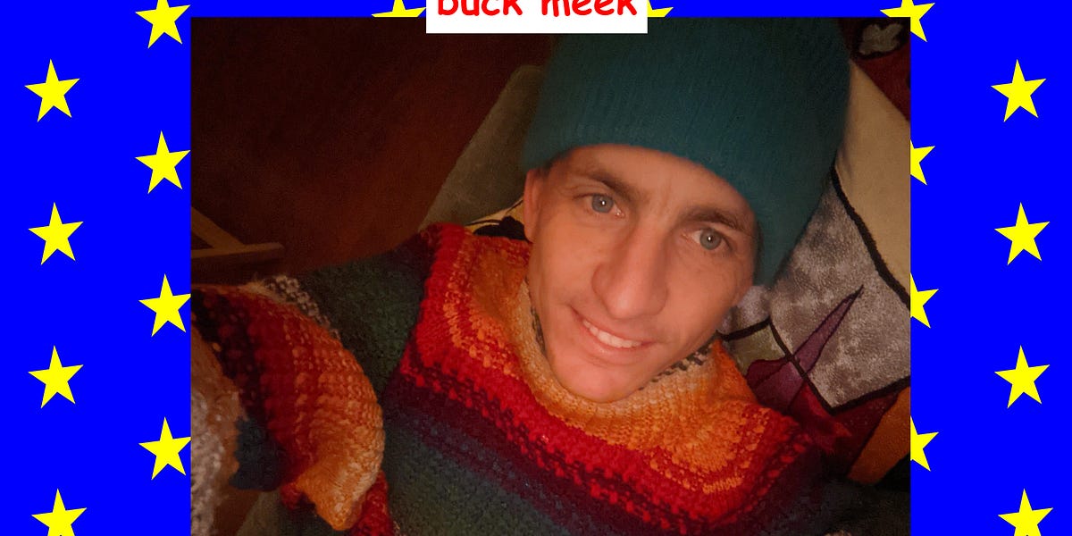 398 Buck Meek Perfectly Imperfect
