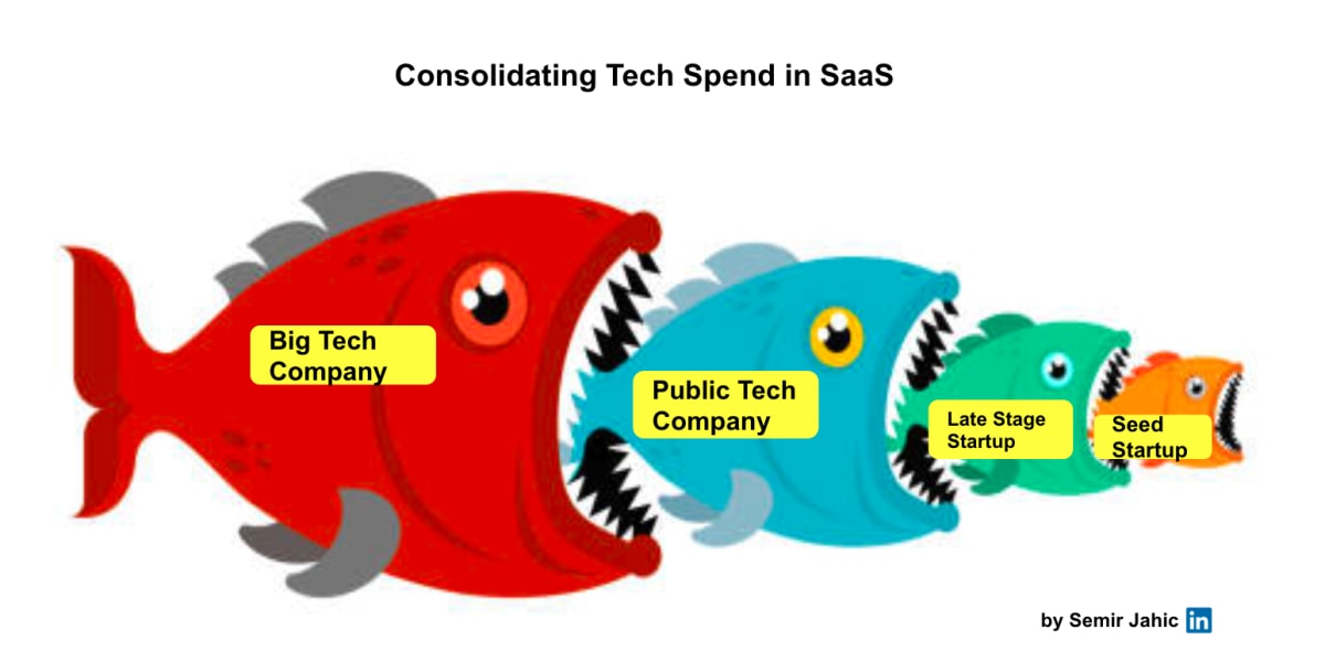 MV 029 Salesforce Q2 Earnings Highlights for SaaS Leaders