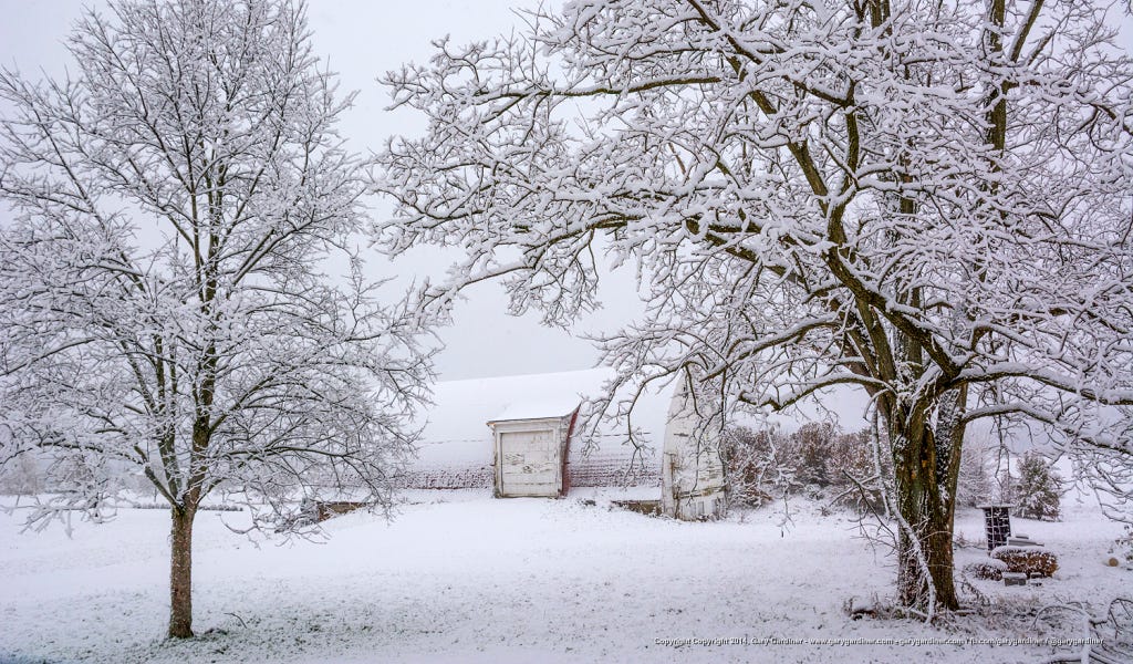 Remember When by Gary Gardiner F8 My Final Photo News