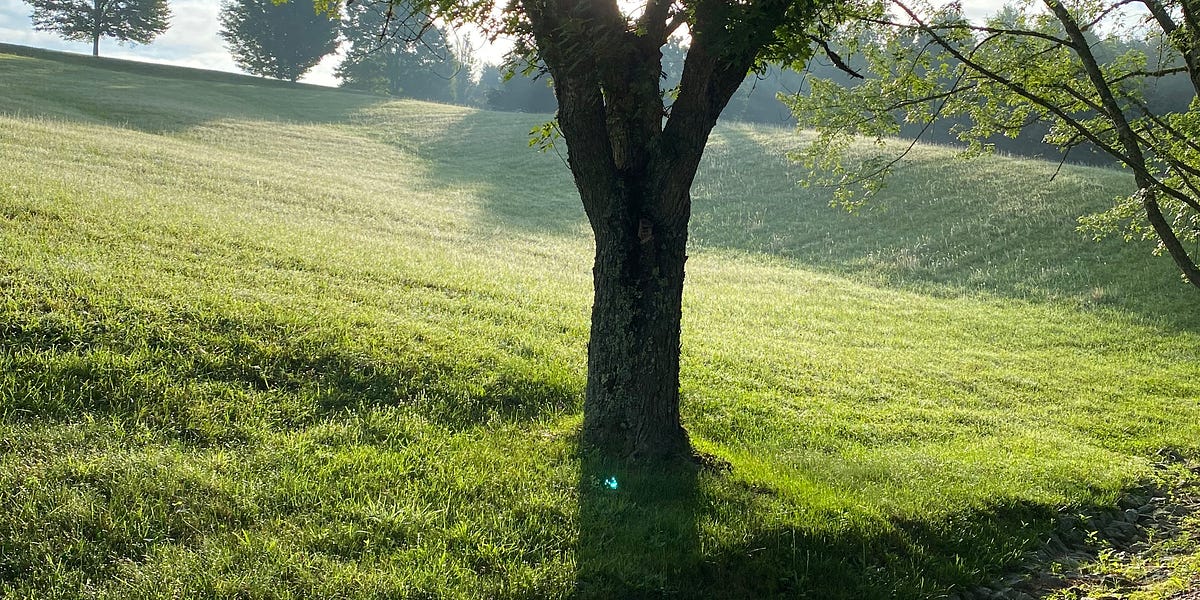 Common cures for loneliness by Sundays with Suzanne