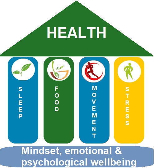 The 4 pillars of health - by Freddie Faull