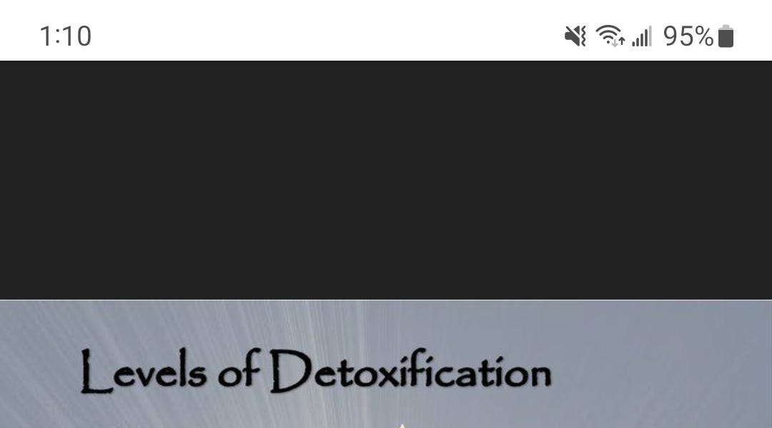 What is Regenerative Detoxification? by Kasey