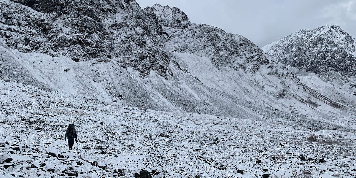 The Best D*mn Leg Exercise Ever