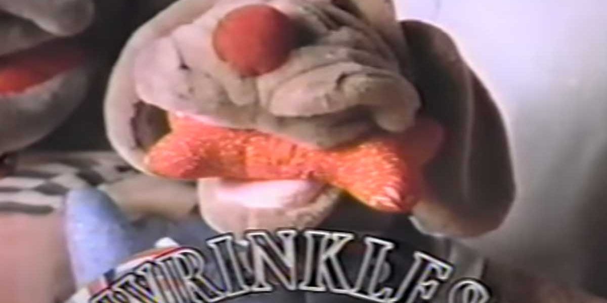 Remember Wrinkles the Talking Dog Puppet? The Retroist