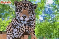 Laura Ingalls Wilder's Life Story Is Disturbing! Tabs, Fri., Dec. 9, 2022