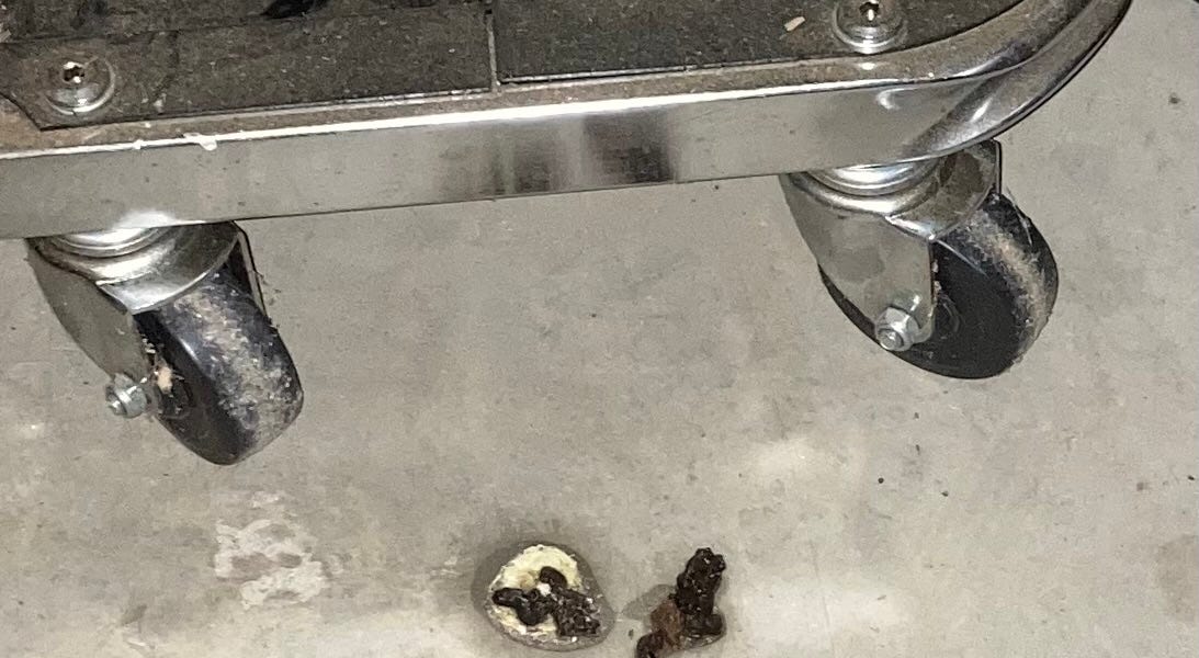 copperhead's poop by Lori Heinsman old grateful