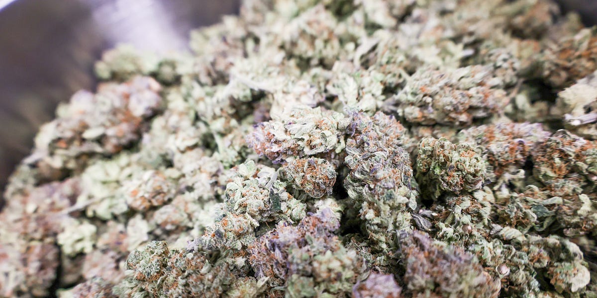 Cannabis advocate pulled from South Dakota's medical marijuana committee