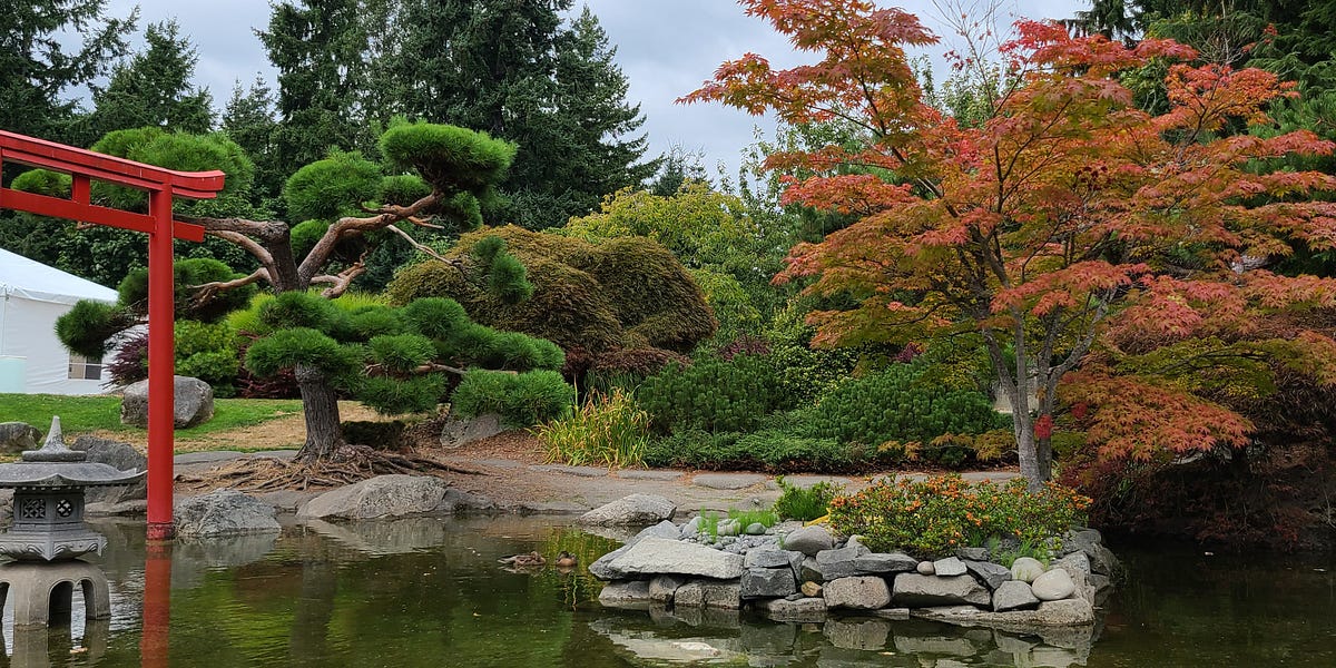 My Father Called Me Today by Janice Duenas MODU Place