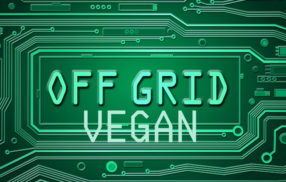 Curated visual reference: Sun Soil And Seeds How To Cultivate A Vegan Paradise Photo Inspiration