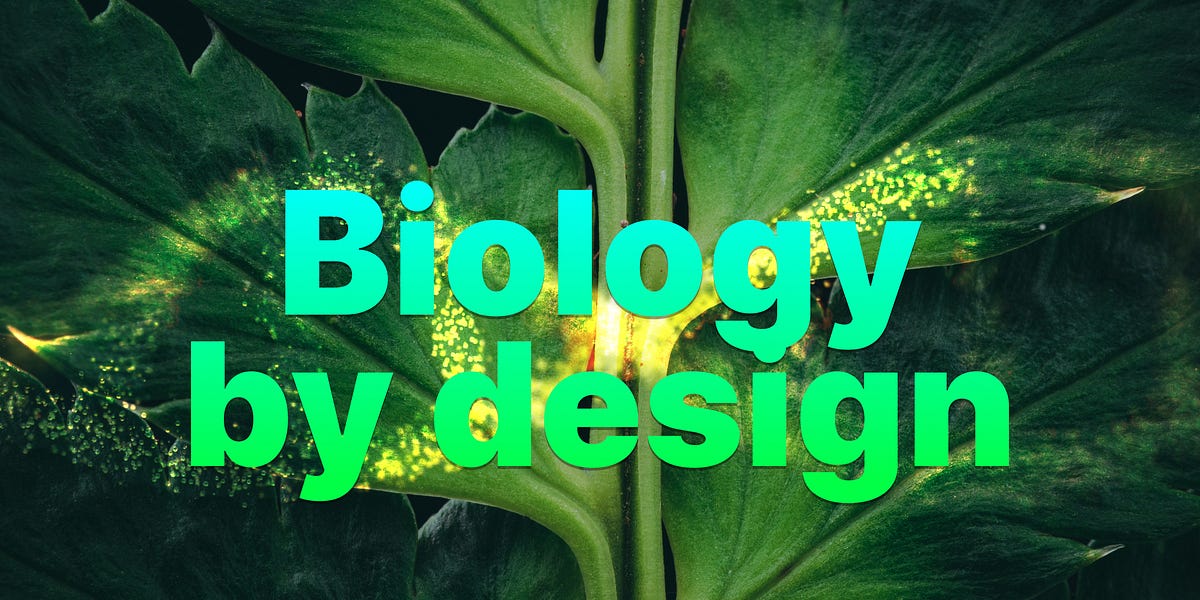 Cassandra Rupp Biowork Ginkgo Bioworks | What if we could grow anything?