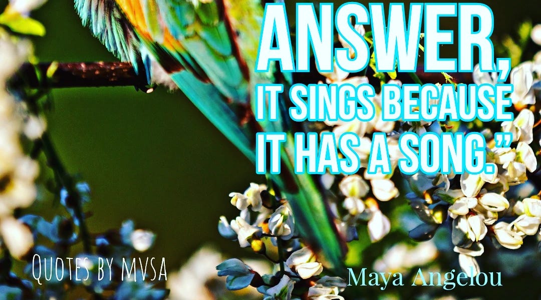 De merel zingt - by MVSA - Leren met je Hart