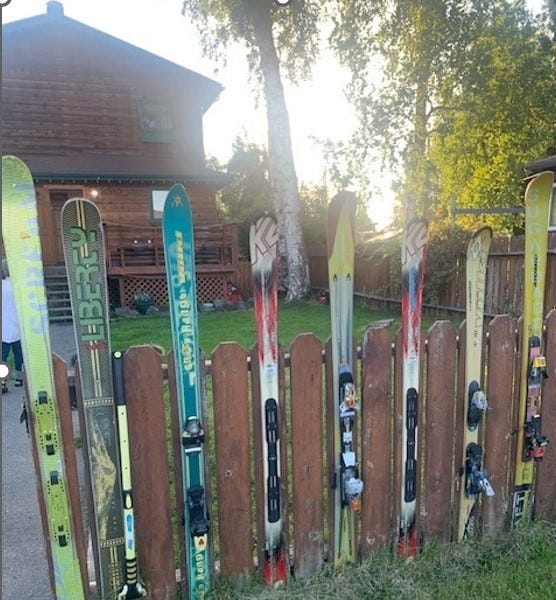 Hidden In Plain sight - Kodiak - by Robert Crespin