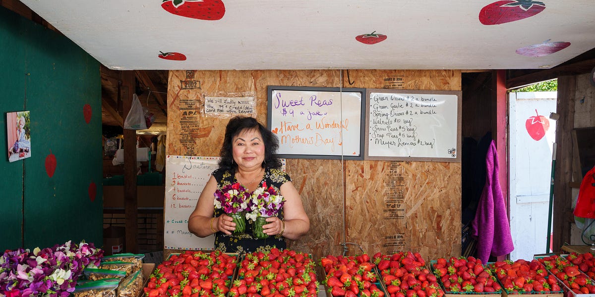 The Silverado Trail Strawberry Stand Cultivating a Flavorful Legacy