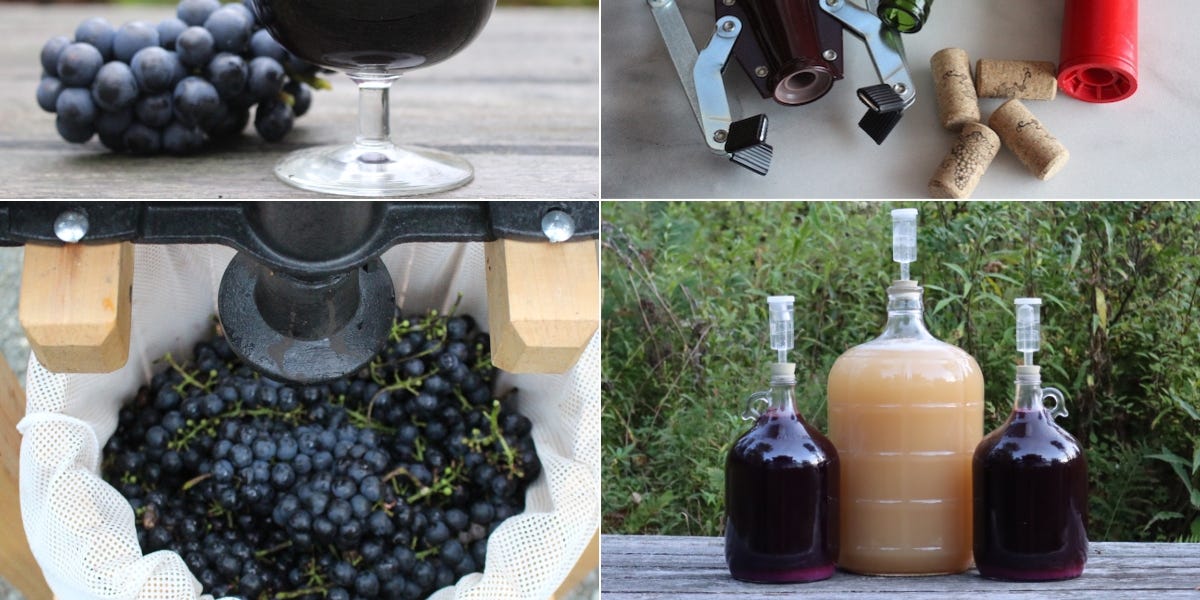 Making Fruit Wines (With Any Fruit!) by Ashley Adamant