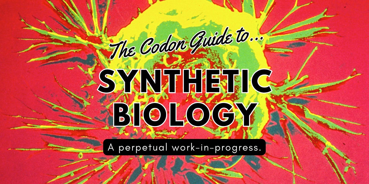 The Codon Guide to Synthetic Biology - Asimov Press