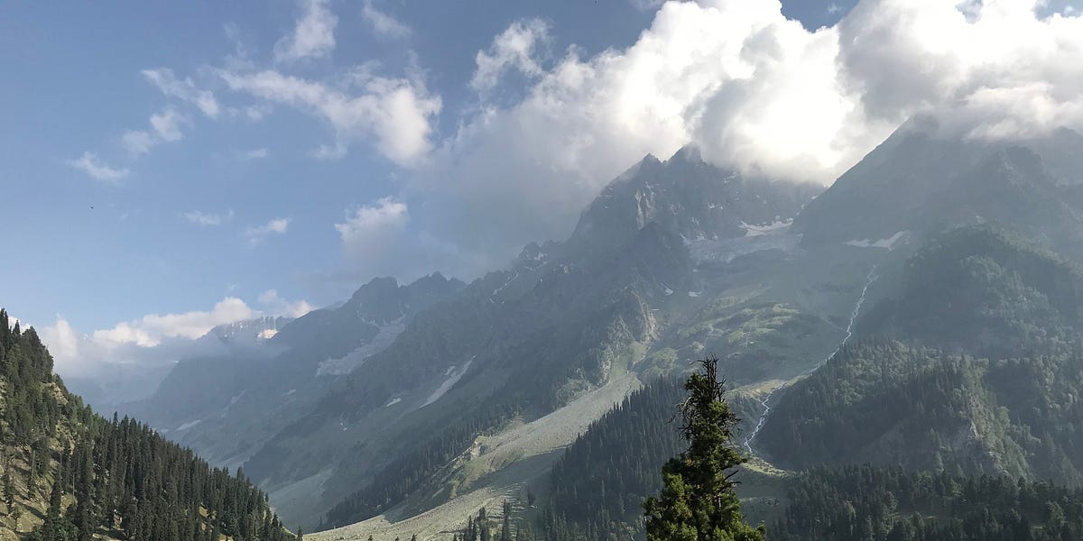 The Intern Midpoint Review - Demystifying the purpose and importance of ...