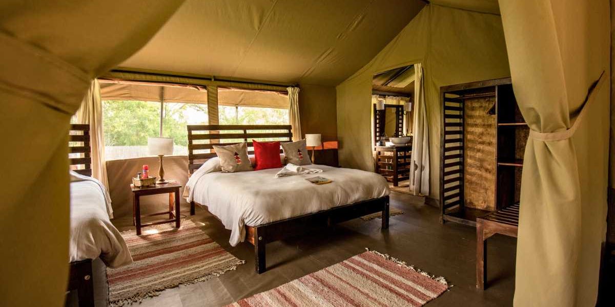 monarto safari park glamping