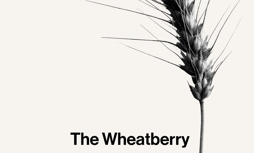 The Wheat Berry Shaking the Tree Theatre