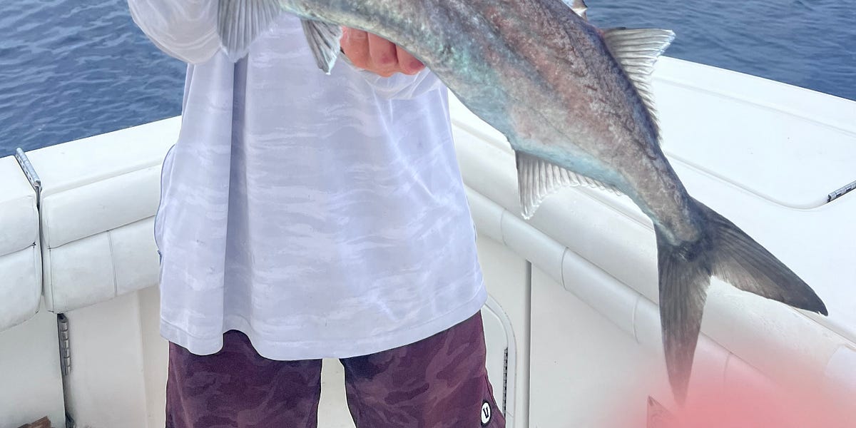 Juno Bait #39 s quot Weekend Fishing Outlook quot by Todd Mitchell