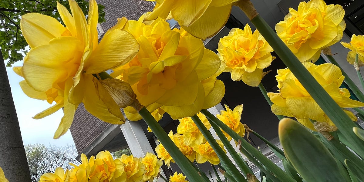 Sledgehammers and Flowers by Miss Sober Jane