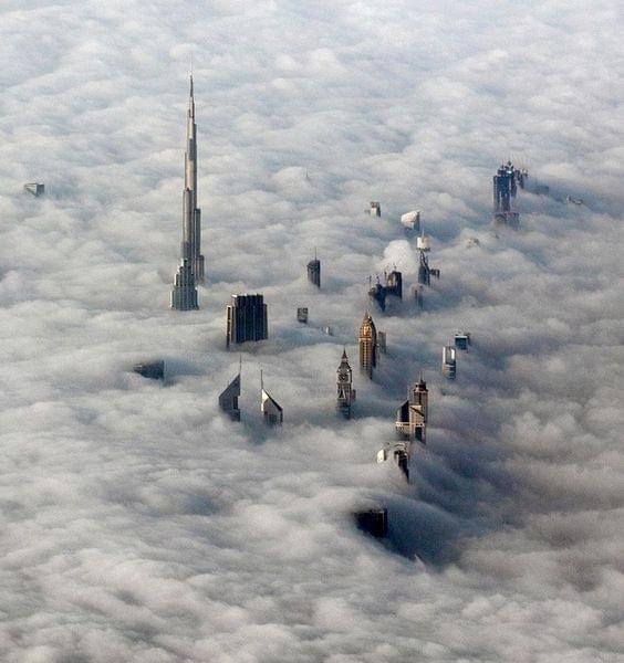 A Short and Sweet Dog Shirt Daily by Benjamin Wittes