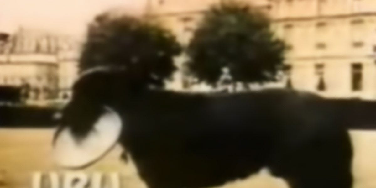 Sit Ubu Sit Good Dog The Retroist Sit ubu sit good dog the retroist