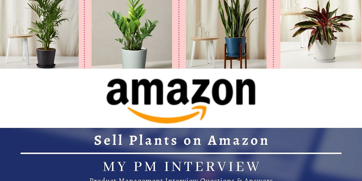 How would you sell live plants on Amazon? Product Strategy