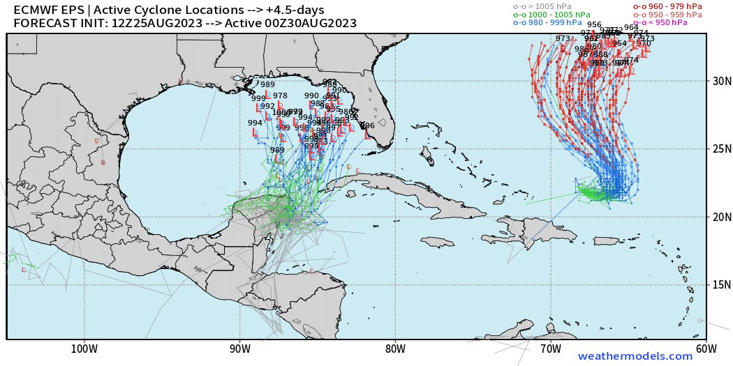 Invest 93L Developing in Southern Gulf of Mexico
