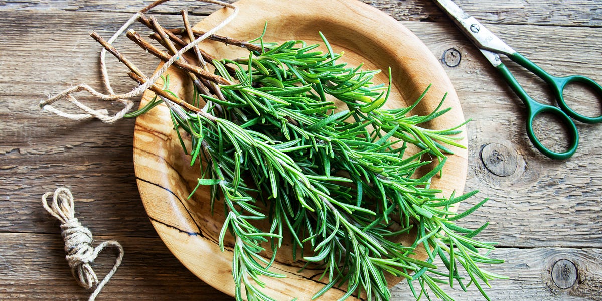 Rosemary is for remembrance by Cassandra Quave