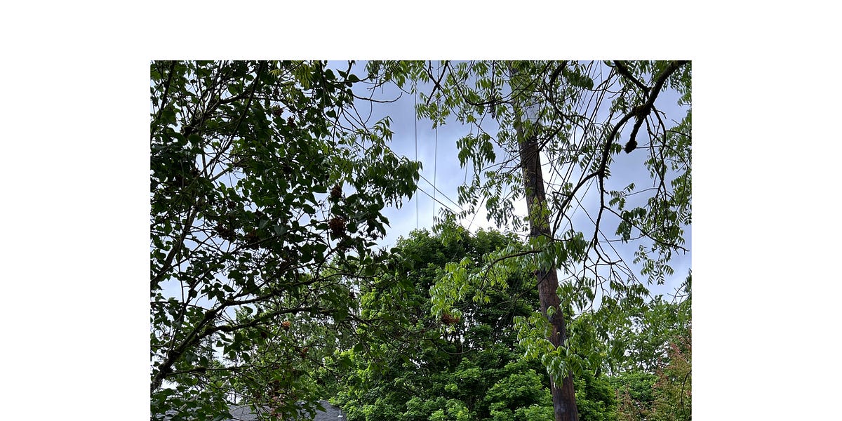 city-guide-portland-oregon-by-brennan-johnson