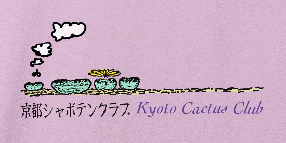 KYOTO CACTUS CLUB COLLECTION - by Cactus Store KYOTO CACTUS CLUB COLLECTION - by Cactus Store