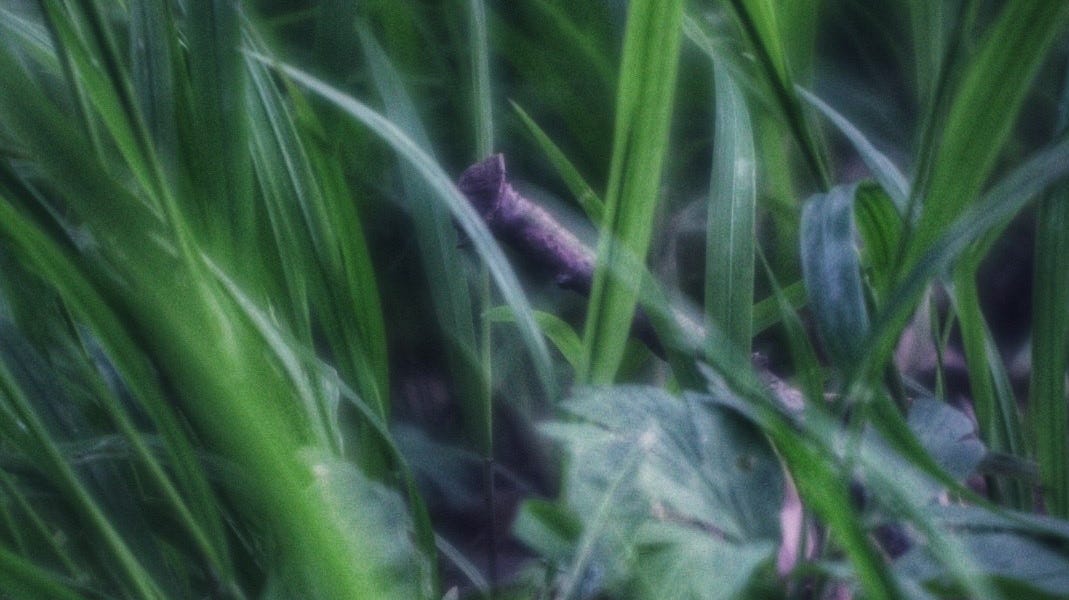 Coming apart at the seams by Lizzie Swift