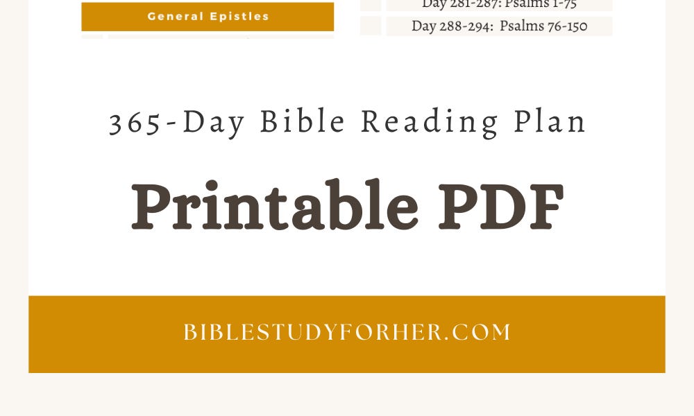 365Day Bible Reading Plan PDF Printable