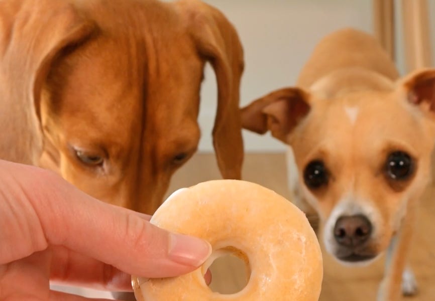 Can dogs eat glazed donuts sale