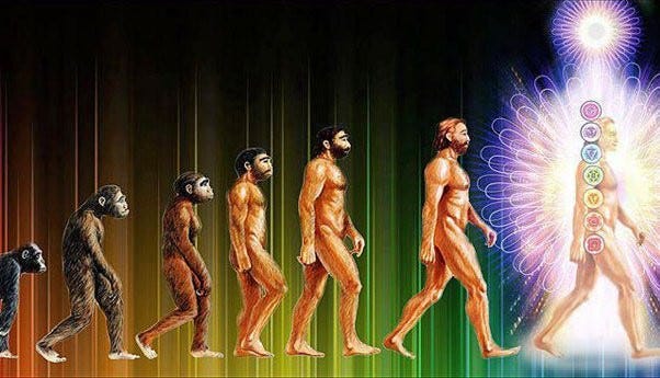 Very Evolution 'More evolved than you': evolutionary spirituality as a frame for ...